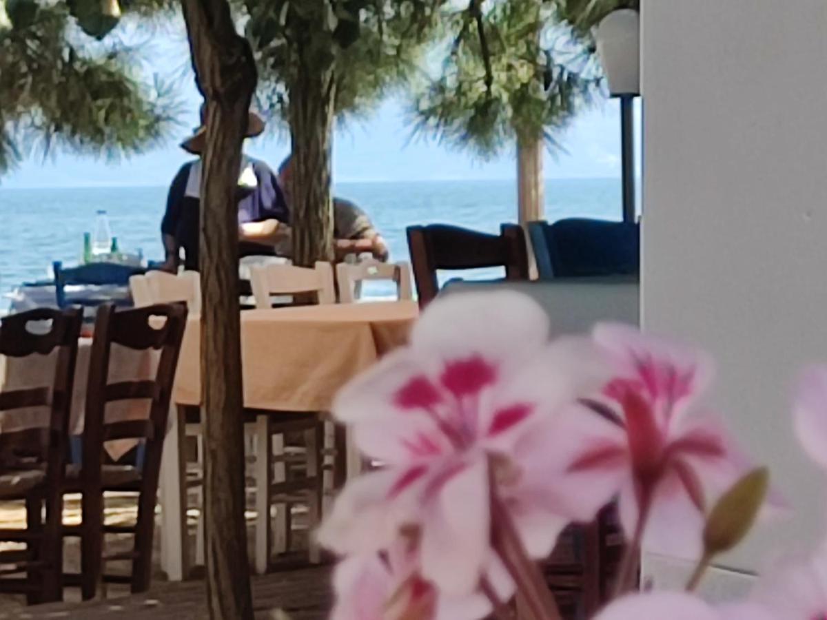 Look To The Sea Nea Karvali Exterior foto